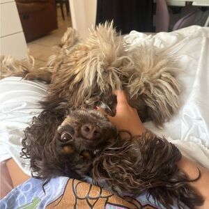 Meet your Posher, Zaira